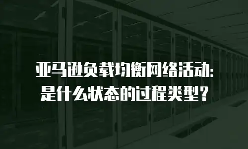 亚马逊负载均衡网络活动：是什么状态的过程类型？