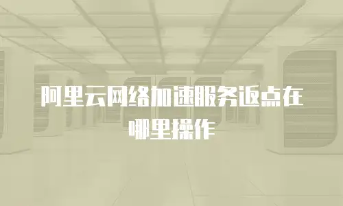 阿里云网络加速服务返点在哪里操作