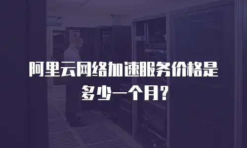 阿里云网络加速服务价格是多少一个月？