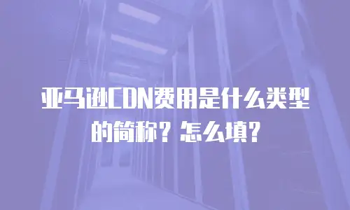亚马逊CDN费用是什么类型的简称？怎么填？