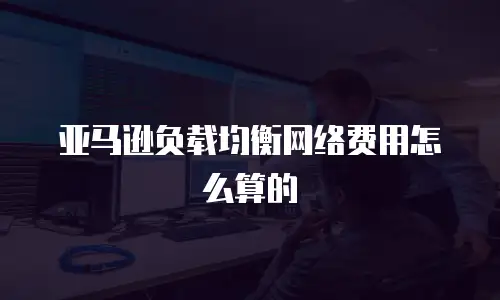 亚马逊负载均衡网络费用怎么算的