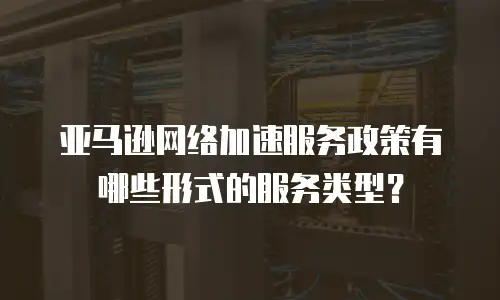 亚马逊网络加速服务政策有哪些形式的服务类型？