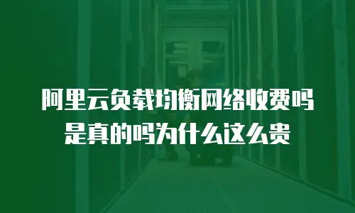 阿里云负载均衡网络收费吗是真的吗为什么这么贵