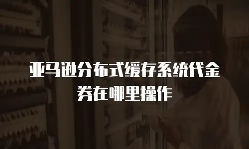 亚马逊分布式缓存系统代金券在哪里操作