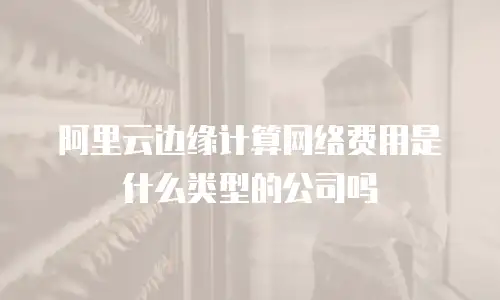 阿里云边缘计算网络费用是什么类型的公司吗
