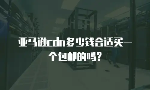 亚马逊cdn多少钱合适买一个包邮的吗？