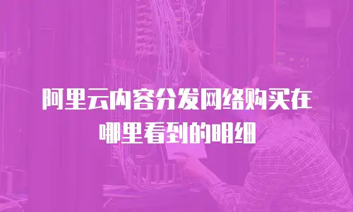 阿里云内容分发网络购买在哪里看到的明细