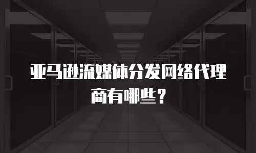 亚马逊流媒体分发网络代理商有哪些？