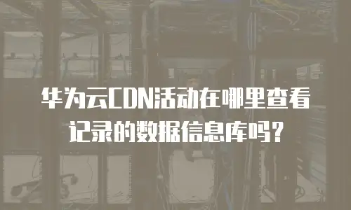 华为云CDN活动在哪里查看记录的数据信息库吗？