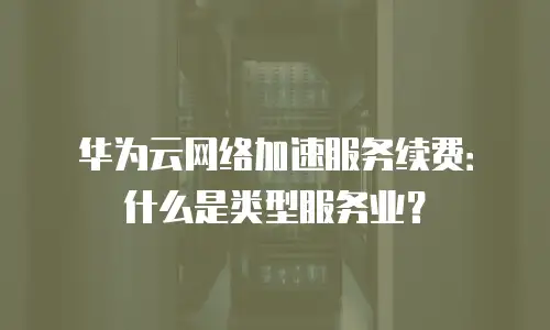 华为云网络加速服务续费：什么是类型服务业？