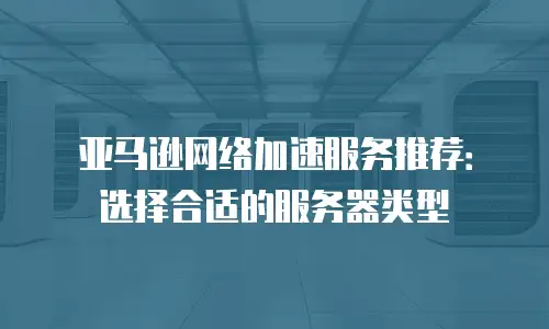 亚马逊网络加速服务推荐：选择合适的服务器类型