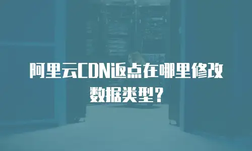 阿里云CDN返点在哪里修改数据类型？