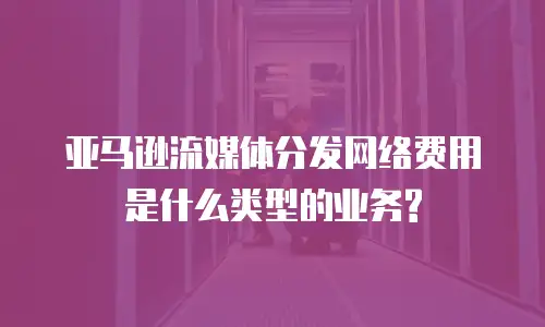 亚马逊流媒体分发网络费用是什么类型的业务?