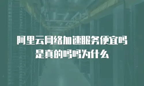 阿里云网络加速服务便宜吗是真的吗吗为什么