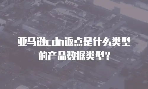 亚马逊cdn返点是什么类型的产品数据类型？