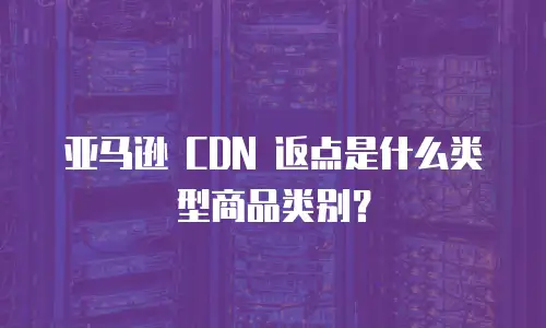 亚马逊 CDN 返点是什么类型商品类别？