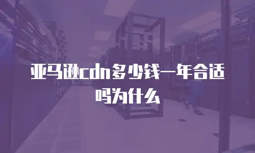 亚马逊cdn多少钱一年合适吗为什么