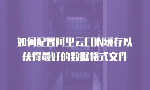 如何配置阿里云CDN缓存以获得最好的数据格式文件
