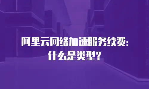 阿里云网络加速服务续费：什么是类型？