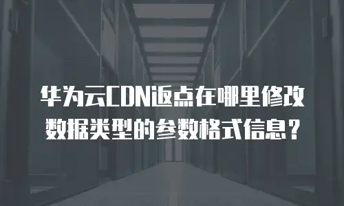华为云CDN返点在哪里修改数据类型的参数格式信息？