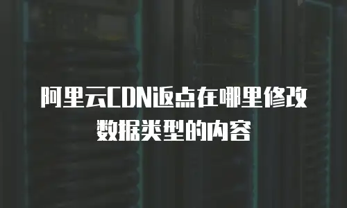 阿里云CDN返点在哪里修改数据类型的内容