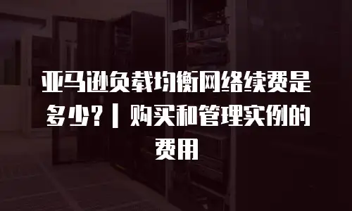 亚马逊负载均衡网络续费是多少？| 购买和管理实例的费用