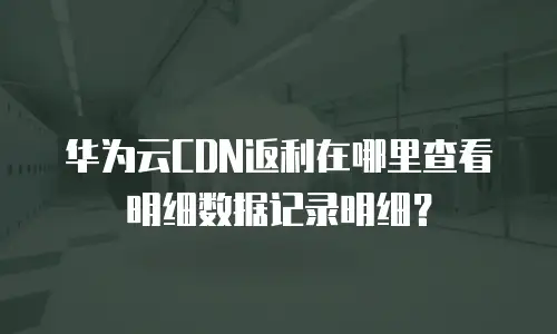 华为云CDN返利在哪里查看明细数据记录明细？