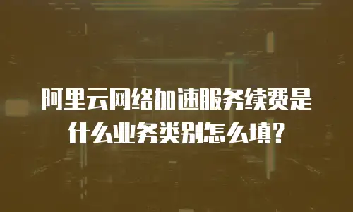 阿里云网络加速服务续费是什么业务类别怎么填？