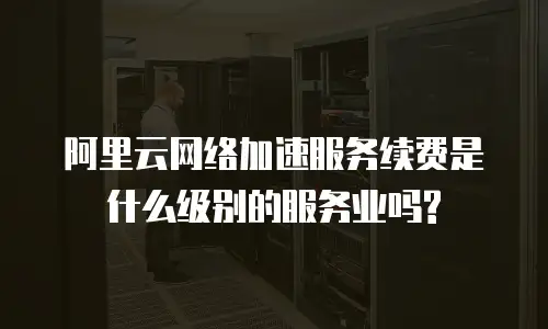 阿里云网络加速服务续费是什么级别的服务业吗?