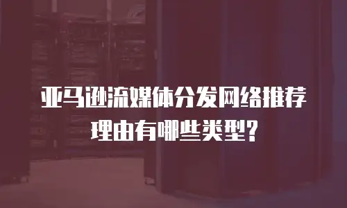 亚马逊流媒体分发网络推荐理由有哪些类型?