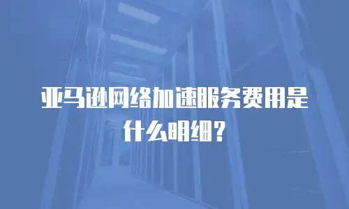 亚马逊网络加速服务费用是什么明细？