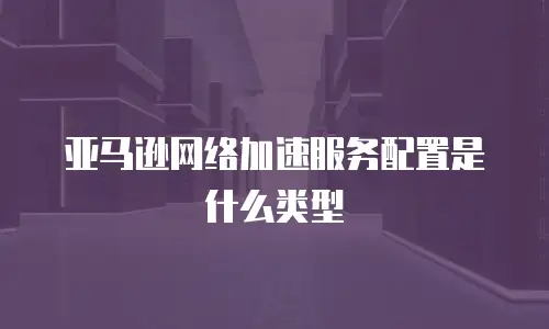 亚马逊网络加速服务配置是什么类型