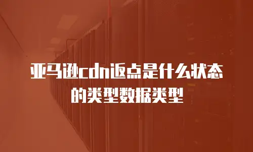 亚马逊cdn返点是什么状态的类型数据类型
