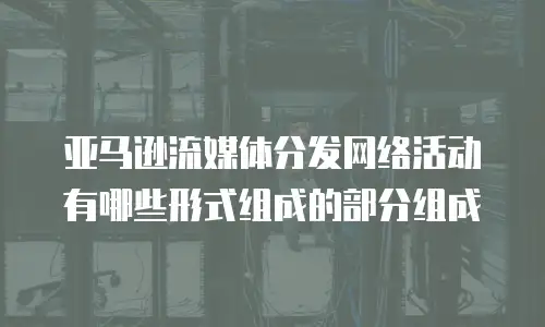 亚马逊流媒体分发网络活动有哪些形式组成的部分组成