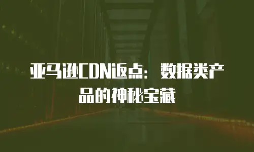 亚马逊CDN返点：数据类产品的神秘宝藏