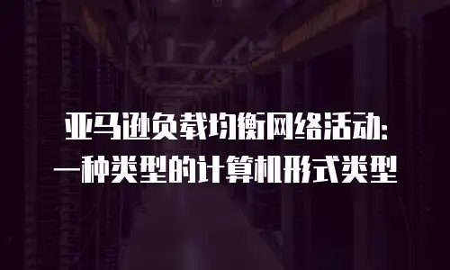 亚马逊负载均衡网络活动：一种类型的计算机形式类型
