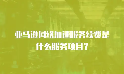 亚马逊网络加速服务续费是什么服务项目？