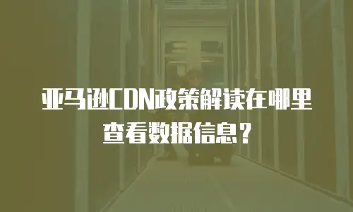 亚马逊CDN政策解读在哪里查看数据信息？