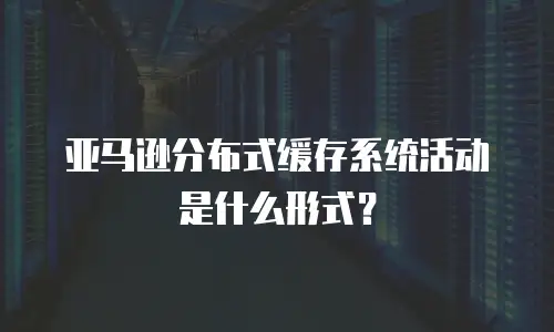 亚马逊分布式缓存系统活动是什么形式？