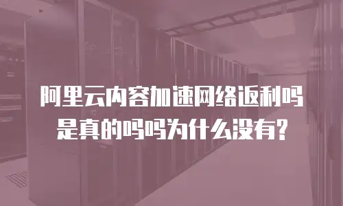 阿里云内容加速网络返利吗是真的吗吗为什么没有?