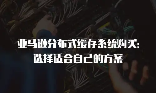 亚马逊分布式缓存系统购买：选择适合自己的方案