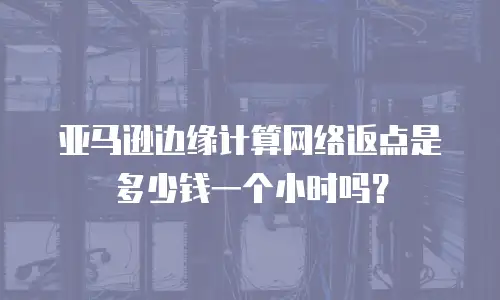 亚马逊边缘计算网络返点是多少钱一个小时吗？