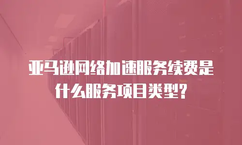 亚马逊网络加速服务续费是什么服务项目类型?