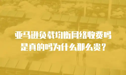 亚马逊负载均衡网络收费吗是真的吗为什么那么贵？