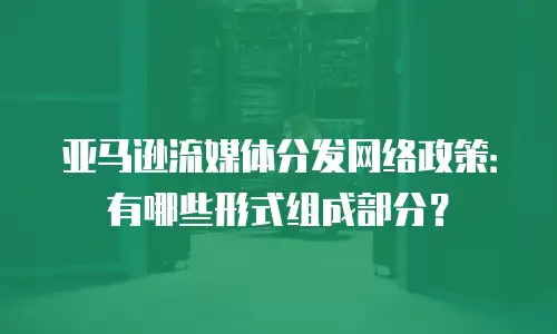亚马逊流媒体分发网络政策：有哪些形式组成部分？