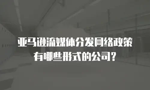 亚马逊流媒体分发网络政策有哪些形式的公司？