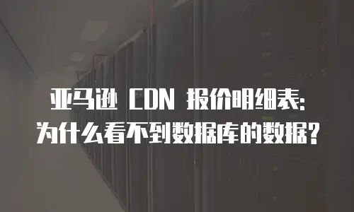 亚马逊 CDN 报价明细表: 为什么看不到数据库的数据?