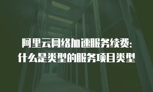 阿里云网络加速服务续费：什么是类型的服务项目类型