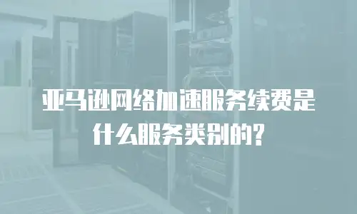 亚马逊网络加速服务续费是什么服务类别的?