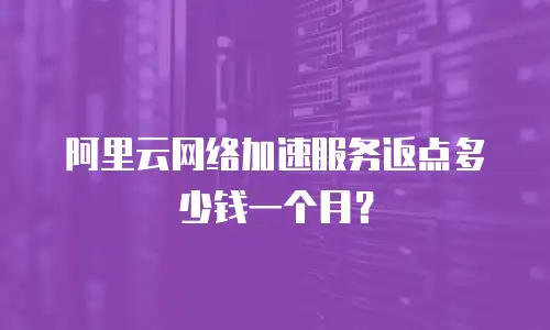 阿里云网络加速服务返点多少钱一个月？